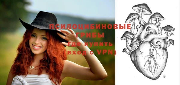 ГАЛЛЮЦИНОГЕННЫЕ ГРИБЫ Елабуга