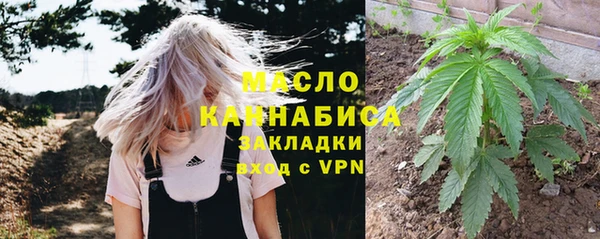 ГАЛЛЮЦИНОГЕННЫЕ ГРИБЫ Елабуга