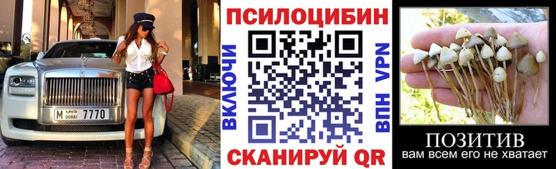 Галлюциногенные грибы мицелий  Купить где  Дальнегорск 