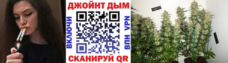 Купить где  Дальнегорск  Бошки Шишки MAZAR 